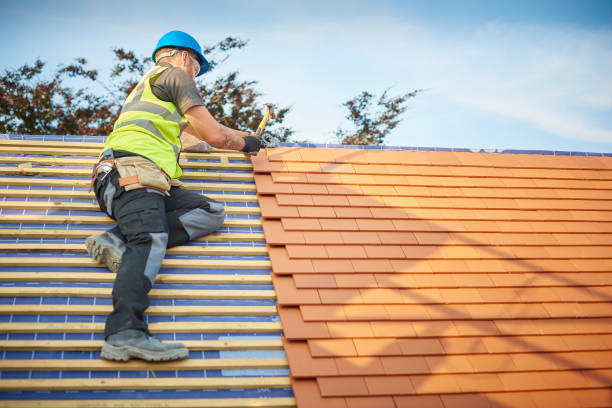 Best Gutter Installation and Repair  in Ashland City, TN